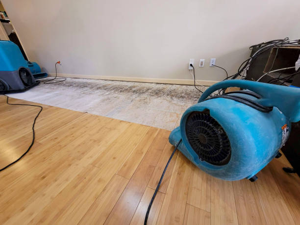 Professional Water Extraction technician working in Rollingstone, MN